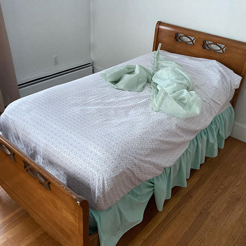 bed bug cleanouts hero
