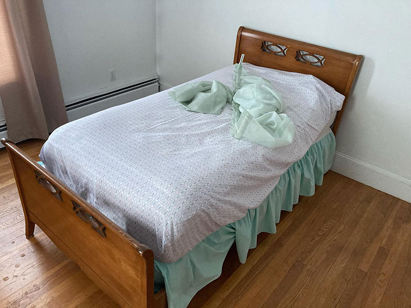 bed bug cleanouts