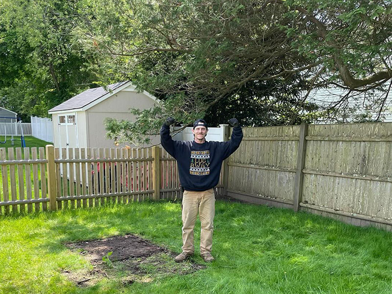 fence removal