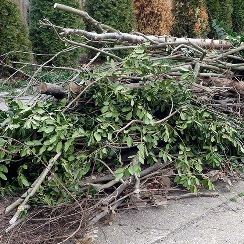 yard waste removal hero