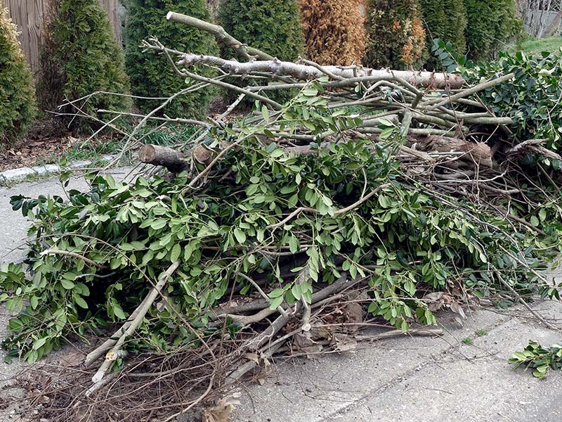 yard waste removal
