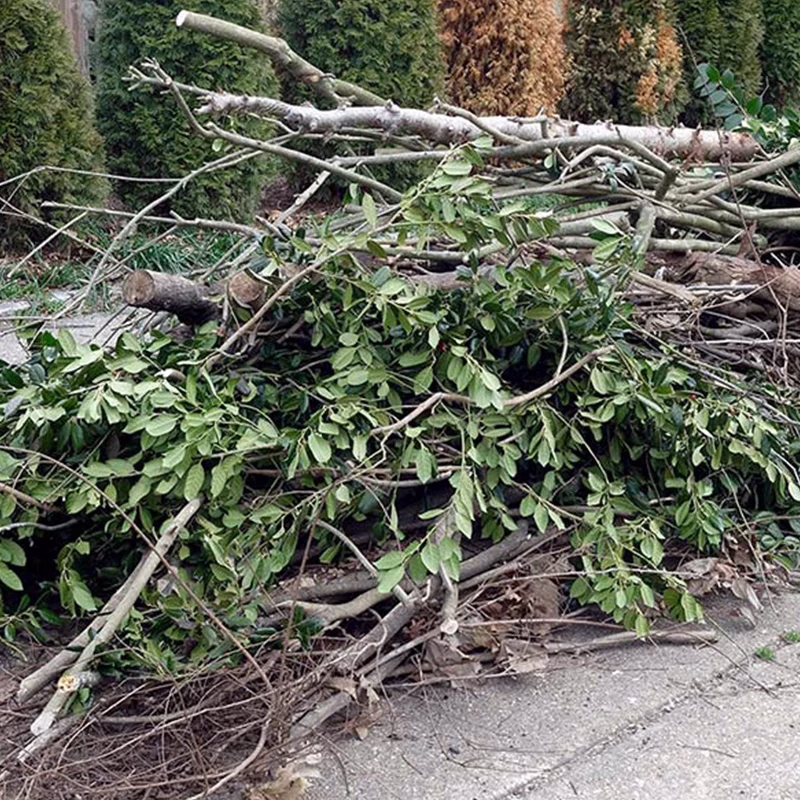 yard waste removal hero